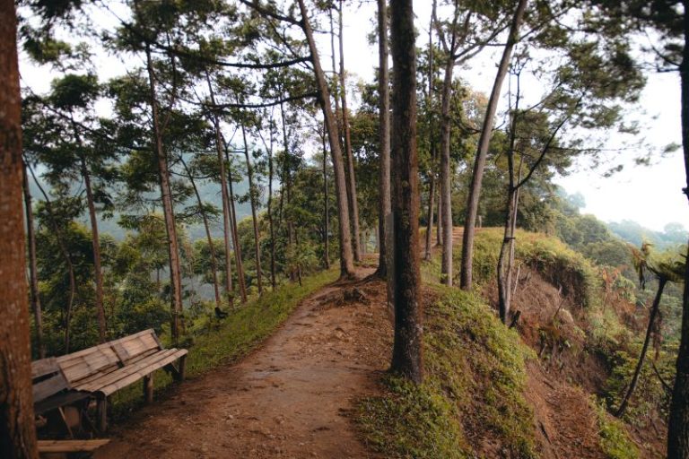 Gunung Geugeur